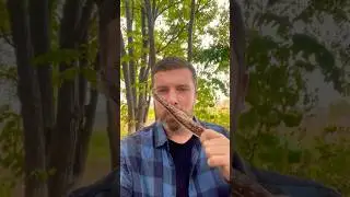 Кавказский ТУР пробуем мясо #еда #youtubeshorts #foodlover #travel #обзореды #food #shorts #мясо