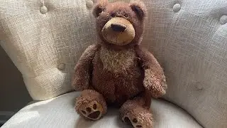 Review of GUND Slumbers Teddy Bear