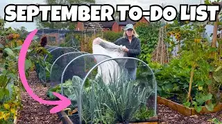 Essential Gardening Jobs For September! | Do These Jobs NOW