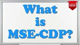 What is the full form of MSE-CDP?