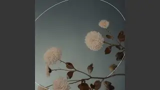 Gentle Bloom