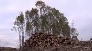 Kahlschlag am Autobahnkreuz Velbert Nord