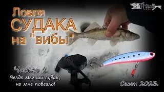 Ловля судака на вибы. Везде мелкий судак, но мне повезло!!! Часть 1. Сезон 2022-23