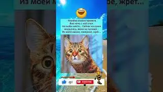 #юмор #шуточное #смехпродлеваетжизнь #смешновидео #прикол #смешнойшортс #анекдот #смех