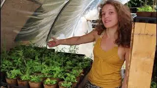 Ungardening Native Plants Grants 4 Plants Application Video