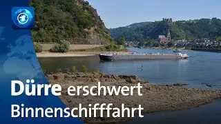 Trockene Fl&uuml;sse: Binnenschifffahrt funktioniert nur noch eingeschr&auml;nkt