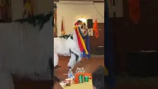 Tibetan Snow Lion dance #youtubevideo #tibetanvloger