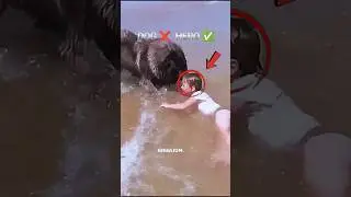 Dog Saves Little Girl From Wave | Real Life Hero 🐶❤️ #DogSavesGirl #RealLifeHero #EmotionalRescue