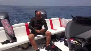 Nina training at 78 feet with Pipin