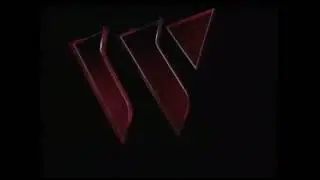 Fred Wolf Films Dublin/Westinghouse Broadcasting International (1996)