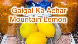 Galgal ka Achar | Mountain Lemon Pickle | Sweet & Tangy | Indian Pickles | Meenu&rsquo;s Cooking World 