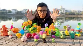 Plants VS Zombies ：(Battle Forest) Find the missing piece