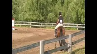Garth/Beaulieu pony jumper
