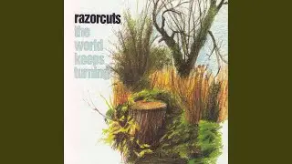 Across the Meadow