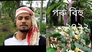 #HappyRongallibihu || #gorubihu #assam #northeast #india