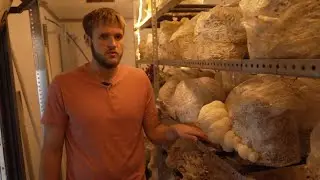 Mushroom Farmer Cracks Niche Market in Iowa, Minnesota, Wisconsin