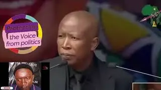 JULIUS Malema fearless politician