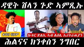 🔥ዳዊት ሽላን ጉድ ጌርዎም/ግዜ ክወስድ ዘይብሉ ጉዳት/ጽልኢ ኣብ ልዕሊ ኤርትራዉያን🔥#eritreanmovie #eritreanmusic #eritrancomedi