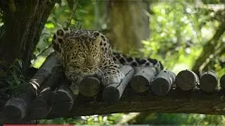 Zoo des Sables d'Olonne