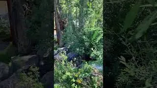 A beautiful park trail in Aspen, CO