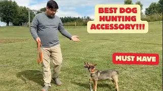 Best Hunting Dog Accessory Must Have!!