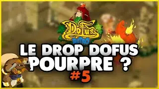 20 Minotoror pour un Drop Dofus Pourpre ! - DOFUS R&Eacute;TRO