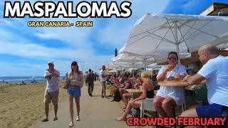 Maspalomas in February  |Gran Canaria |2026