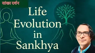 Life Evolution in Sankhya | The secret of life in Sankhya philosophy