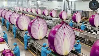 Inside the Largest US Factory: From Raw Onions to Premium Powder (Full Process)