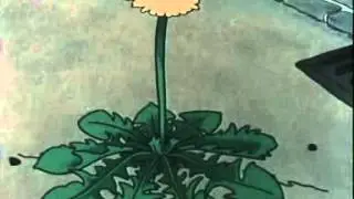 L&ouml;wenzahn-Intro