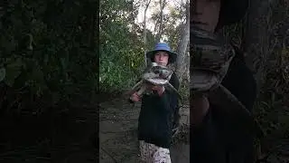 why you dont swim in brisbane river (BULLSHARK CAUGHT)