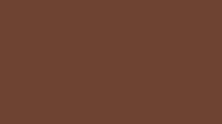 Color Brownie Points, HEX #6E4233, RGB 110,66,51