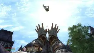 Fly in the Sky