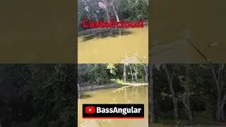 This bass didn't stand a chance #bassfishing #fishing