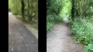 Yeading Brook Path