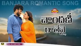 Chandani Ratenai Banjara Full Video Song | Singer Arun Ruksaj | Directed by Naga Dhanush||