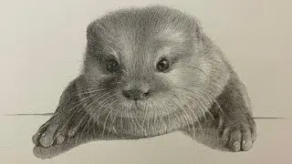Animal sketch #1: Drawing Hana the Otter (Fan Art)