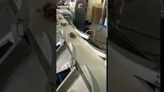 Crabs and small parcel sorting machine,dimensioning and weighing scanning,cubsican,barcode reader