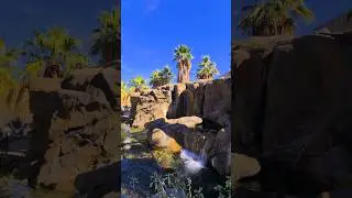 ✨️8 Places to visit in Palm Springs, California