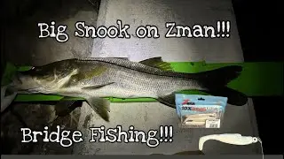 Big Snook!!! Zman DieZel MinnowZ-Eye Strike Jig Head!!!