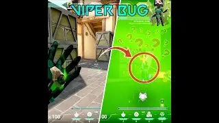 BUG HAVEN | VIPER ultimate BUG | VIPER BUG HAVEN