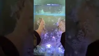 Foot massage. Fish eating my leg. Doctor Fish