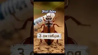 Борьба с тараканами #новости #история #этотдень #кино #факты #games #fallout #cocroach #facts #top