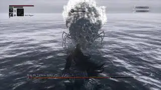 Bloodborne - Rom Cheese