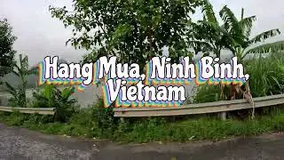 Ninh Binh's Hang Mua Trek - 500 Steps to Paradise | Vietnam Travel Diary