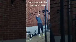 Commando Pullup (monkey grip)