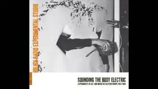 B&ocirc;łt Records | Sounding the Body Electric | CD2, 01 Rudolf Komorous - Nagrobek Malewicza (1965)