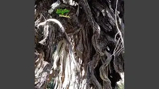 Barisi