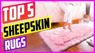 Top 5 Best Sheepskin Rugs On The Market in 2022 Reviews