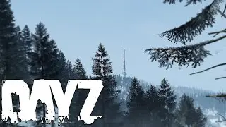 Dayz with friends 
